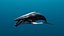 3D Realistic Humpback Whale Low poly 3D model model