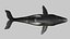 3D Realistic Humpback Whale Low poly 3D model model