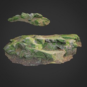 3d scanned nature forest stuff 008