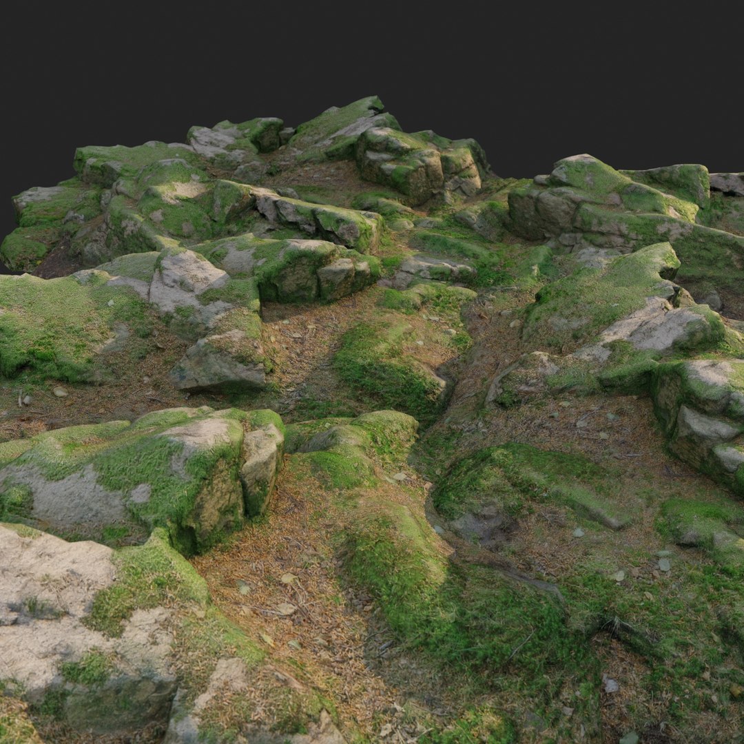 3D scanned nature forest stuff https://p.turbosquid.com/ts-thumb/j6/9ccT5B/aI9pW6t2/nature_forest_stuff_008_render_004/jpg/1504305539/1920x1080/fit_q87/f3d65b93a433a1b862500b0c7242a711eeaee222/nature_forest_stuff_008_render_004.jpg