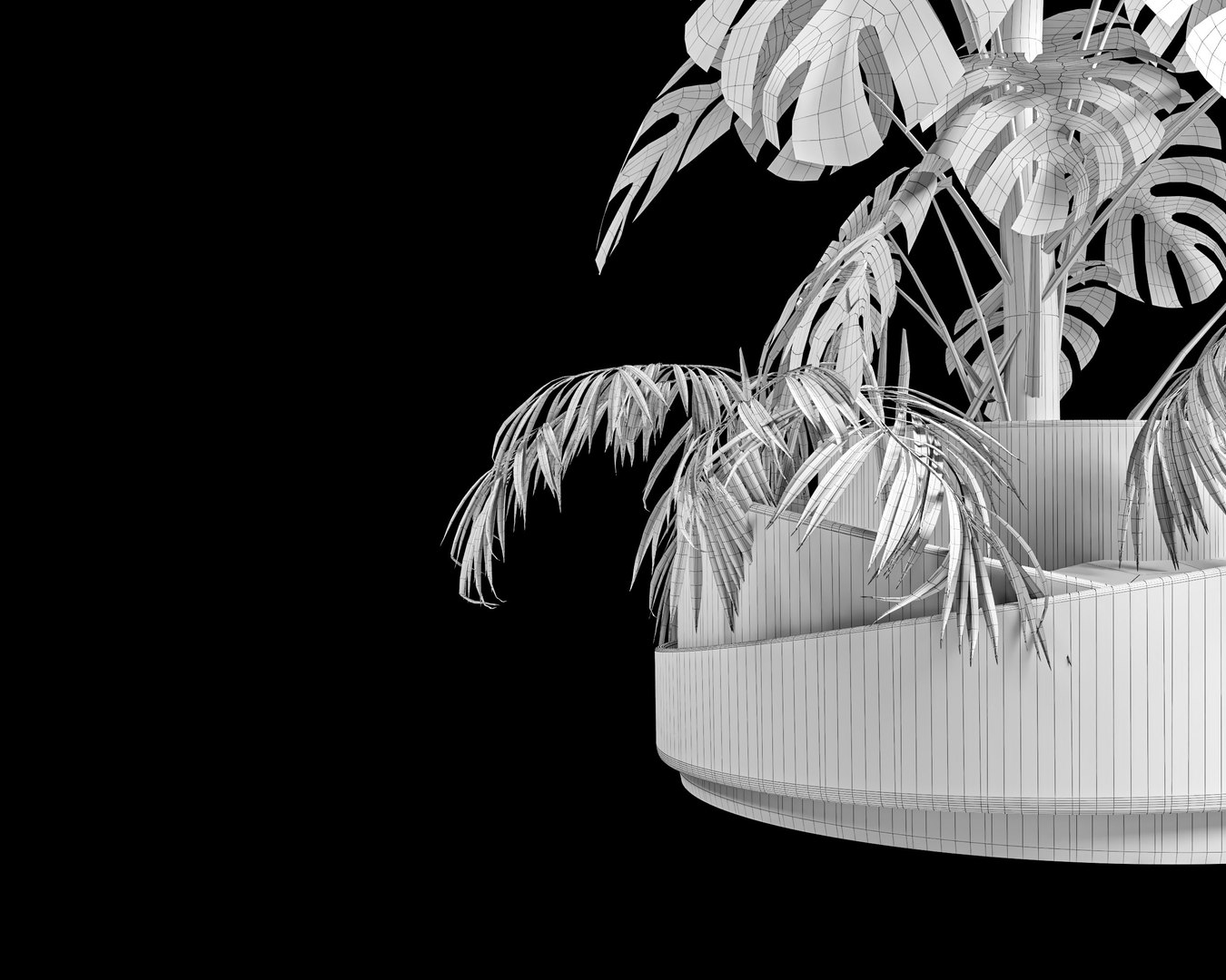 3D monstera and palm https://p.turbosquid.com/ts-thumb/j6/Ikmoih/7Z/wire4/jpg/1623369951/1920x1080/fit_q87/2aa7462c0a864b9b696cbb3be792b8acdb27d1c1/wire4.jpg