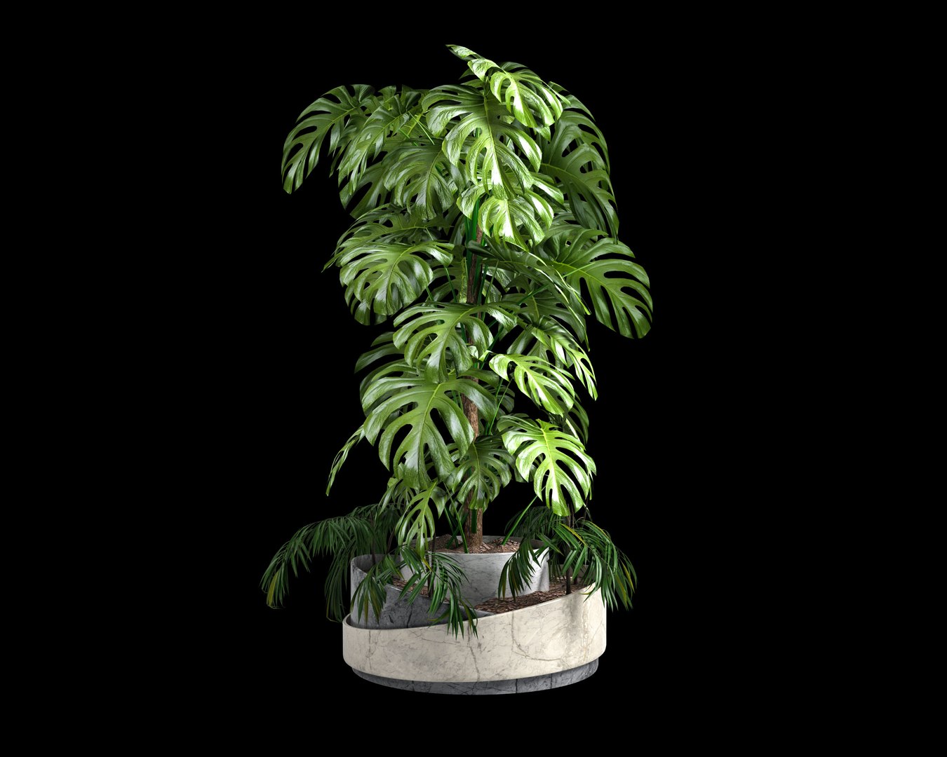 3D monstera and palm https://p.turbosquid.com/ts-thumb/j6/Ikmoih/ft/323asas4/jpg/1623369947/1920x1080/fit_q87/15ae24a2265c9145be984de0aa0e5dcb4de3405f/323asas4.jpg