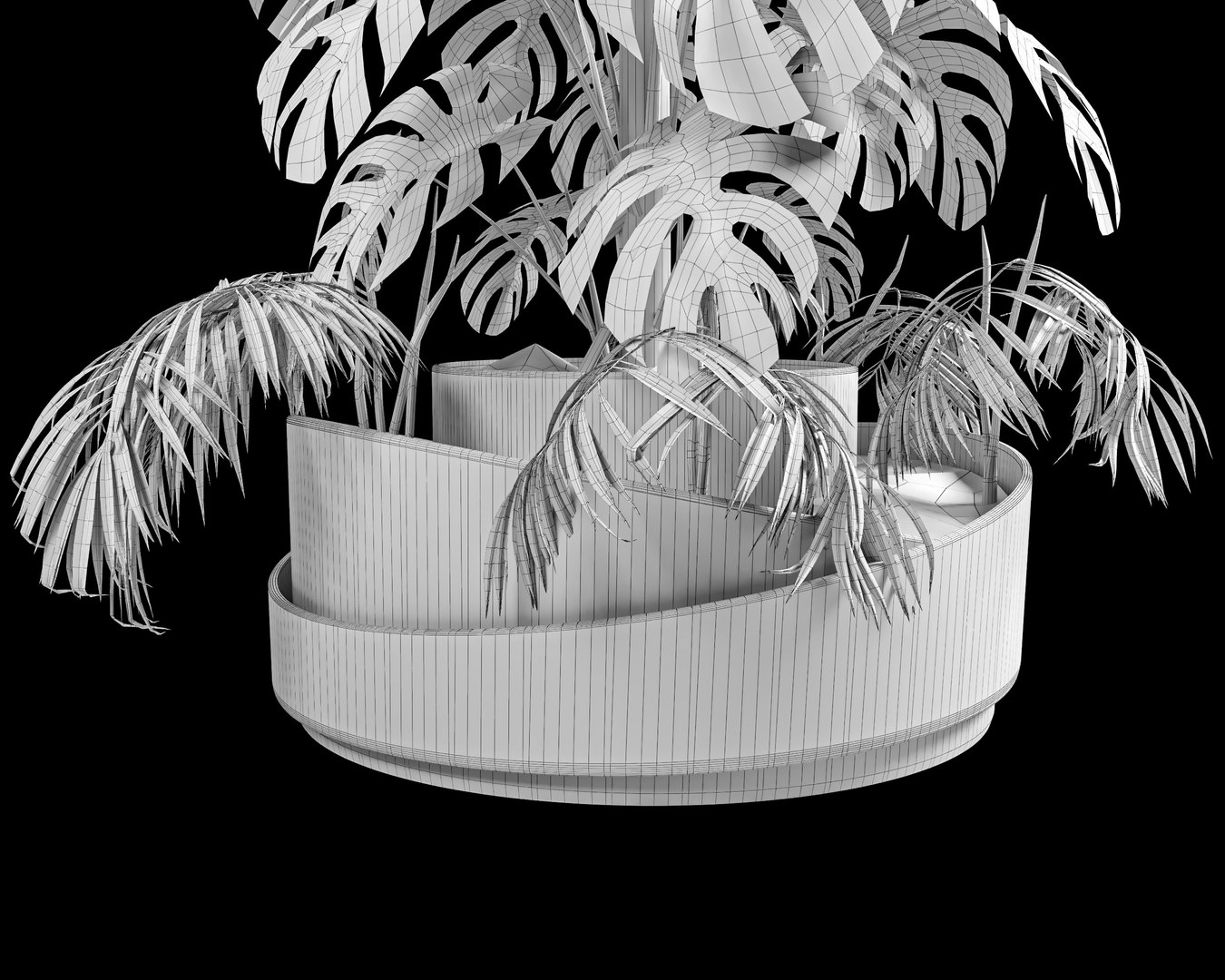 3D monstera and palm https://p.turbosquid.com/ts-thumb/j6/Ikmoih/gj/wire2/jpg/1623369969/1920x1080/fit_q87/b007fb37bcae297383af5b62fc7a8c7b4d936f78/wire2.jpg