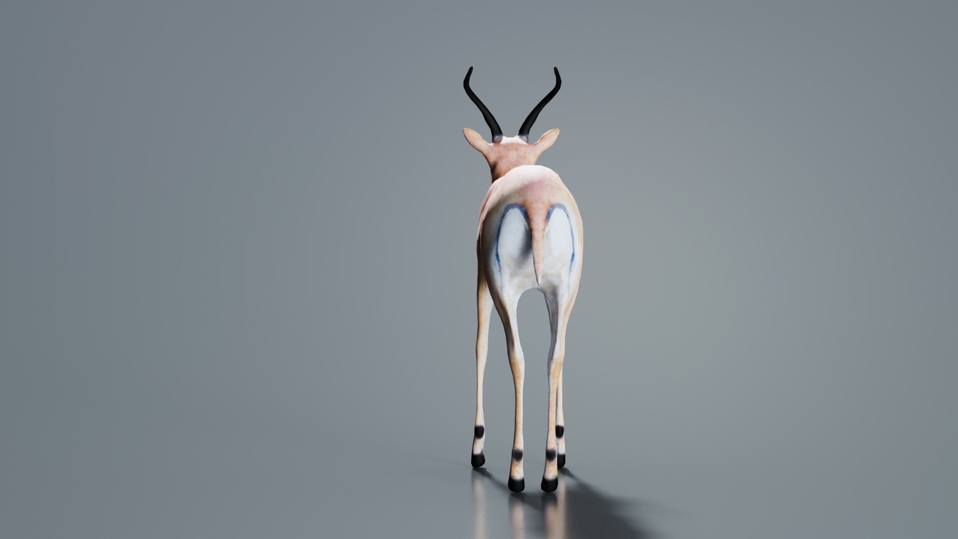 3D Impala Remastered - TurboSquid 2359811
