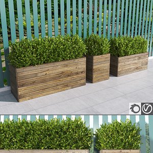 hedges wooden planters 3d model