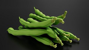 Food Vegetables Green Beans model