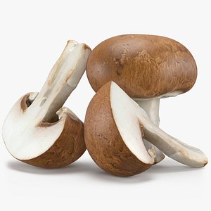 3D Swiss Brown Mushroom
