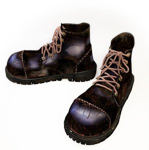 camelot boots