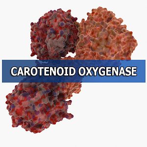 carotenoid oxygenase max