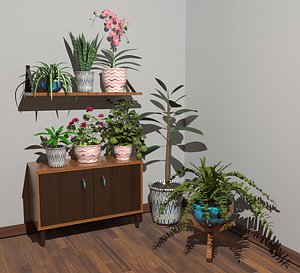 Houseplants model