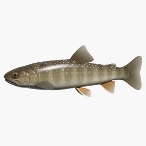 3d model of swimming