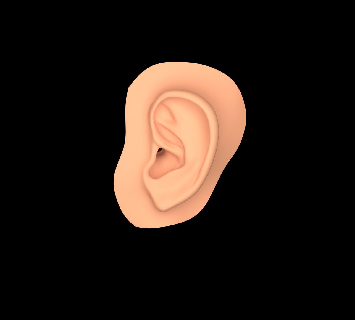 Ear Human Low-poly 3D model 3D model https://p.turbosquid.com/ts-thumb/j7/8LEKO0/XD/ear1/jpg/1710570592/1920x1080/fit_q87/cf678318ddcb87e072f231025280b5406e1e03b9/ear1.jpg
