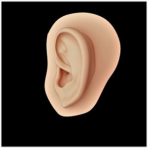 Ear Human Low-poly 3D model 3D model