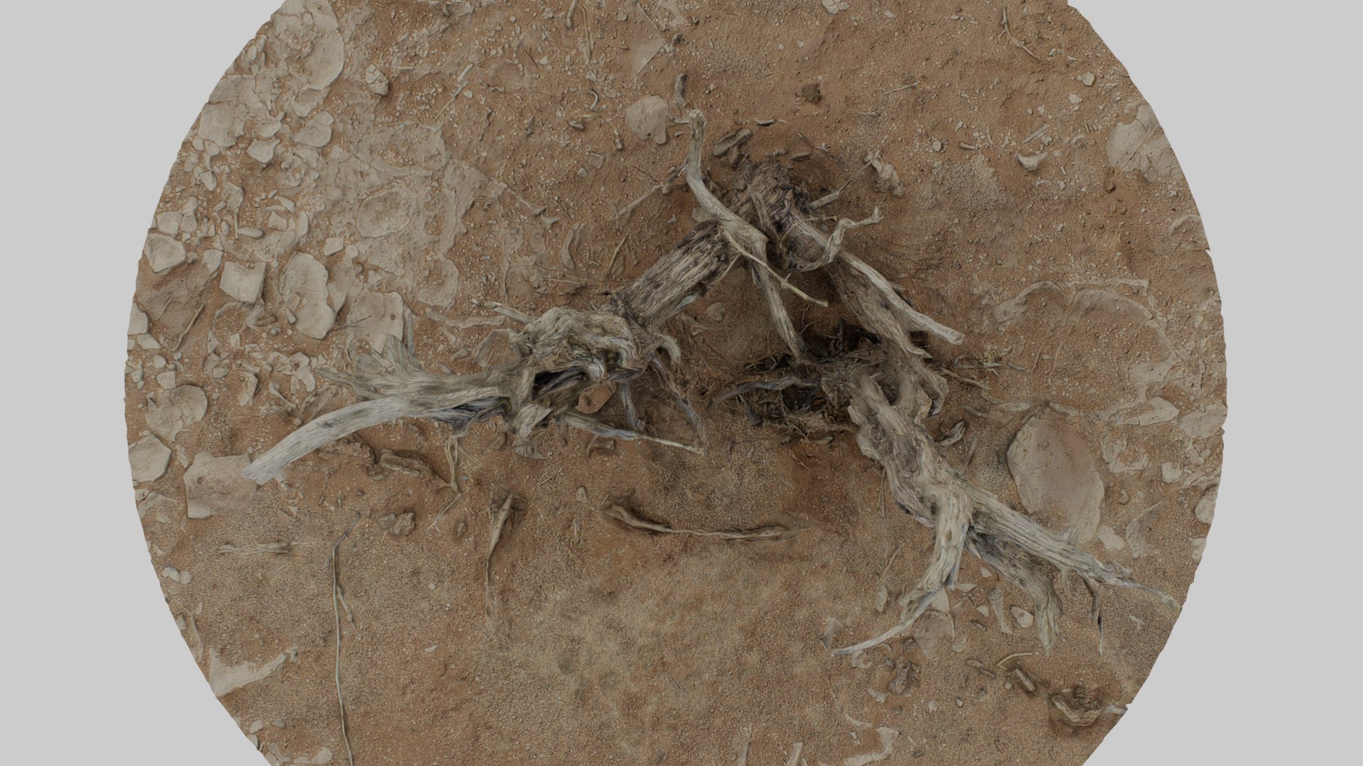 Dry Bush 01 - Scan model https://p.turbosquid.com/ts-thumb/j7/A69Etp/qI/img0003/png/1678909279/1920x1080/fit_q87/827c8a39d70a6494e9478ce8b4d0d9ffb5c14d63/img0003.jpg