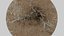 Buisson sec 01 - Balayage