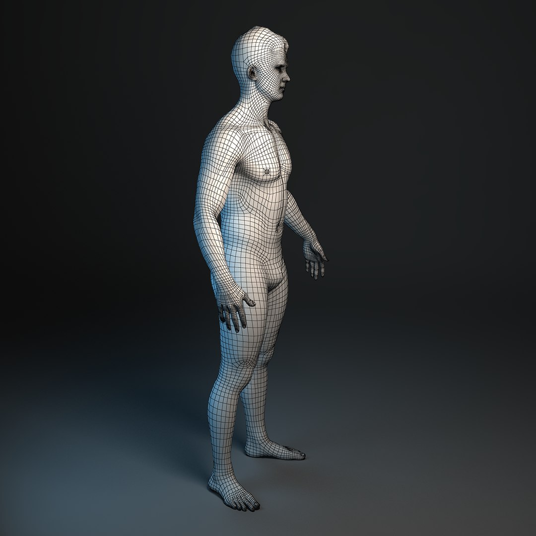 3d Human Rigging Ready