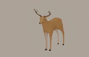 Deer