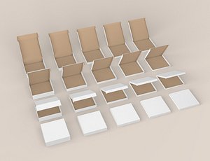 Pizza Box Collection model