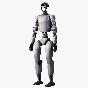 3D Humanoid Robot