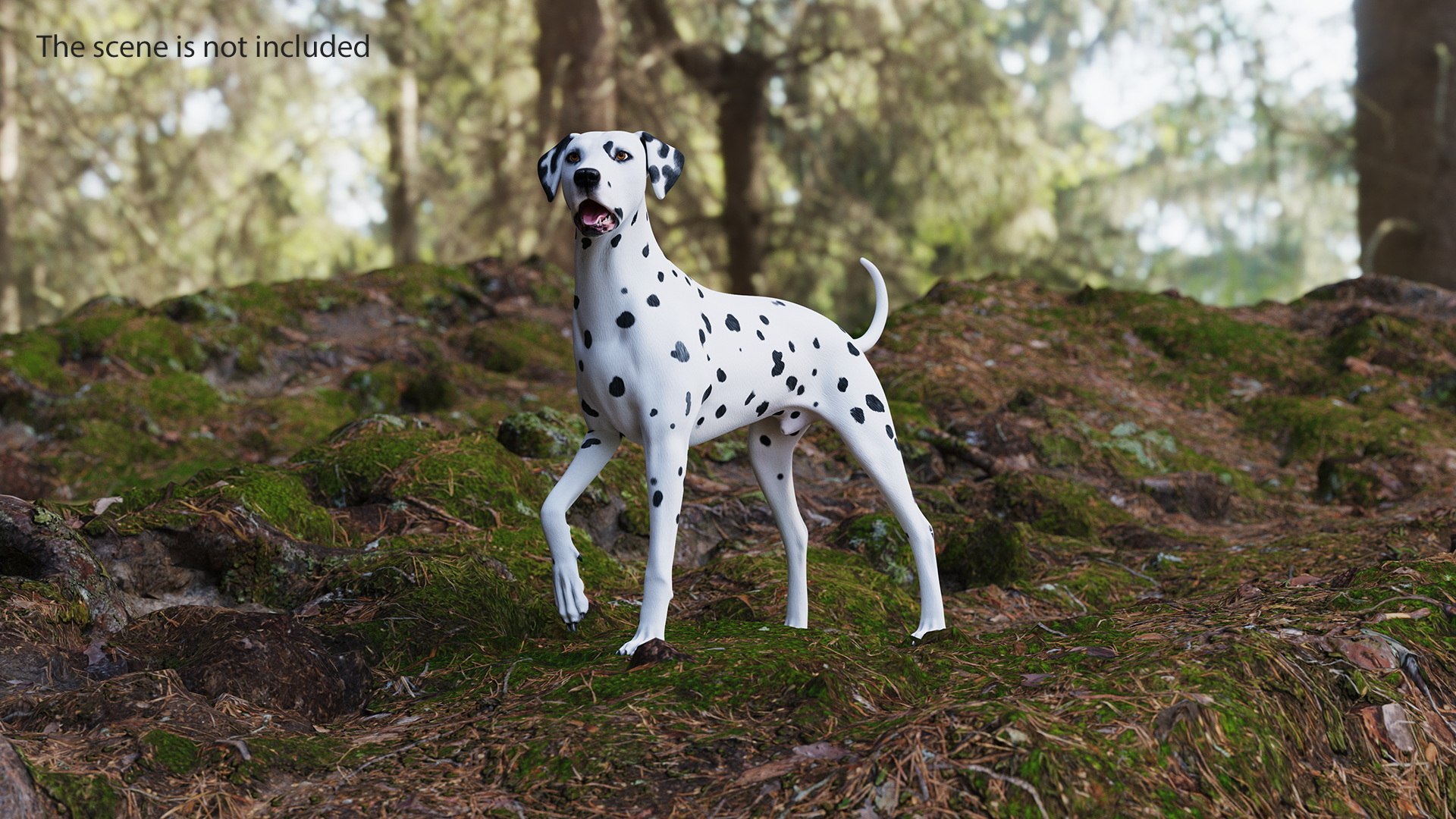 Dalmatian Dog Standing Pose 3D https://p.turbosquid.com/ts-thumb/j7/g4wiIx/Fx/dalmatian_dog_standing_pose_004/jpg/1716122989/1920x1080/fit_q87/f0a20951c9baea88d92cddb2c348701ea2500cac/dalmatian_dog_standing_pose_004.jpg
