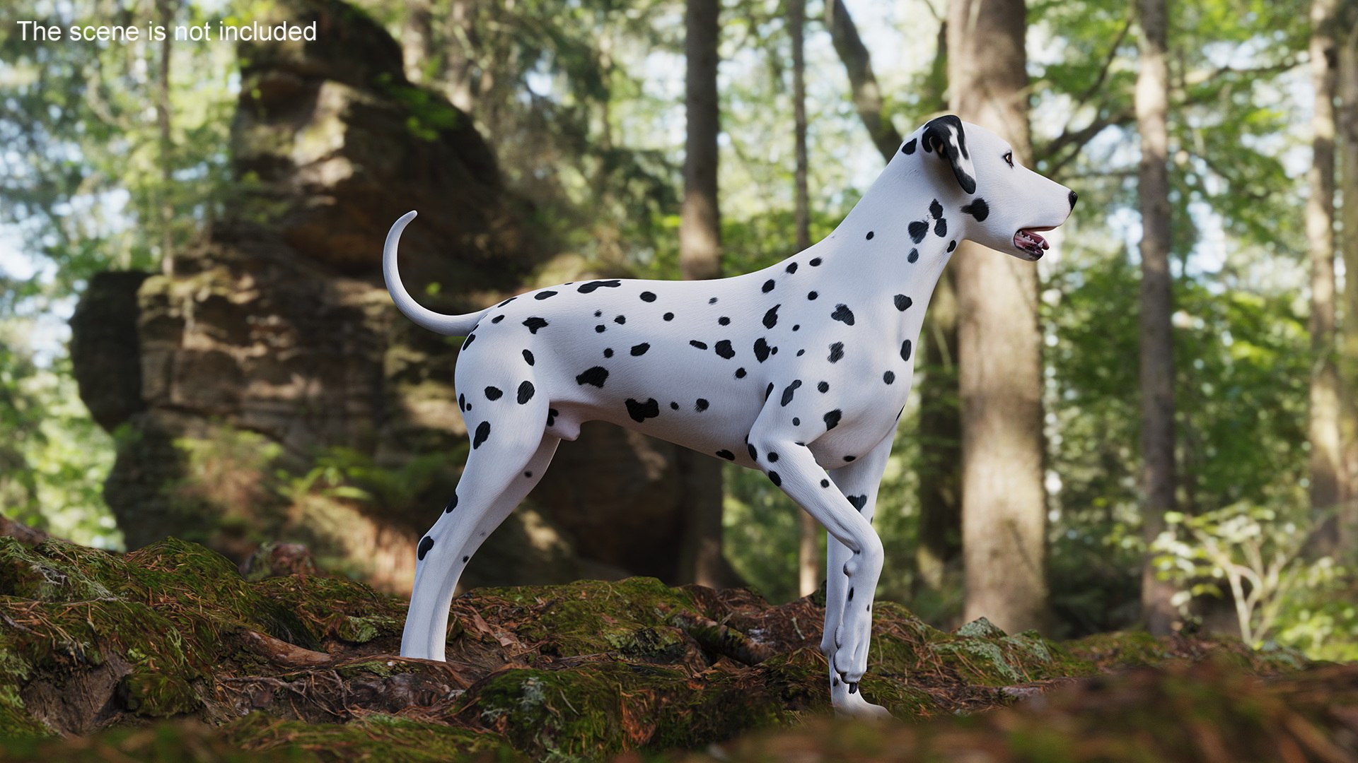 Dalmatian Dog Standing Pose 3D https://p.turbosquid.com/ts-thumb/j7/g4wiIx/Mk/dalmatian_dog_standing_pose_003/jpg/1716122988/1920x1080/fit_q87/faf8ef02b41e4ed0efd60c07b9356ac505e0887a/dalmatian_dog_standing_pose_003.jpg