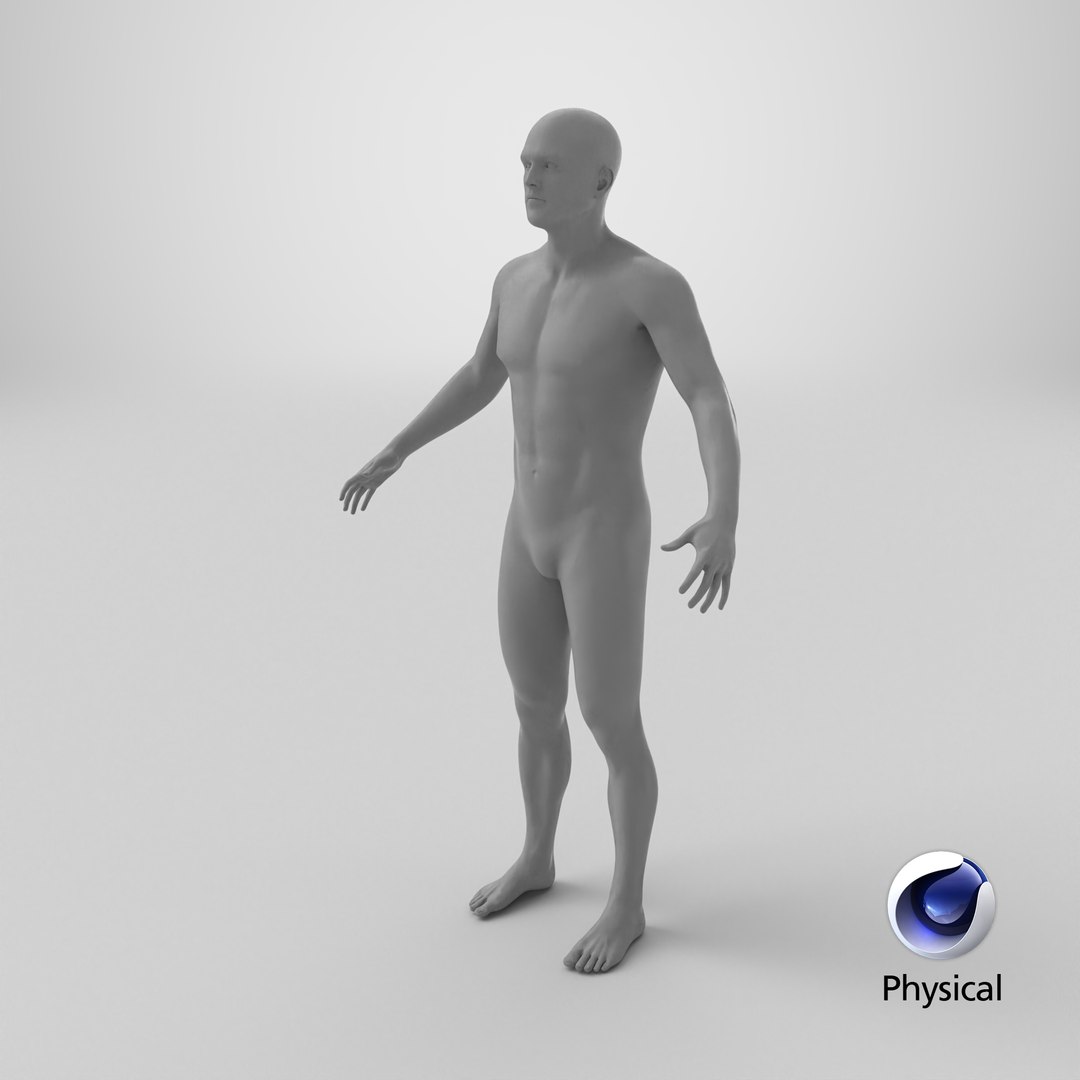 3D Male Base Mesh model https://p.turbosquid.com/ts-thumb/j7/rk3Ts1/Ab/stemcell_cinema_4d_physical_render/png/1784728292/1920x1080/fit_q87/64645068a19c6d42858e7a40efcaca3ed893652c/stemcell_cinema_4d_physical_render.jpg