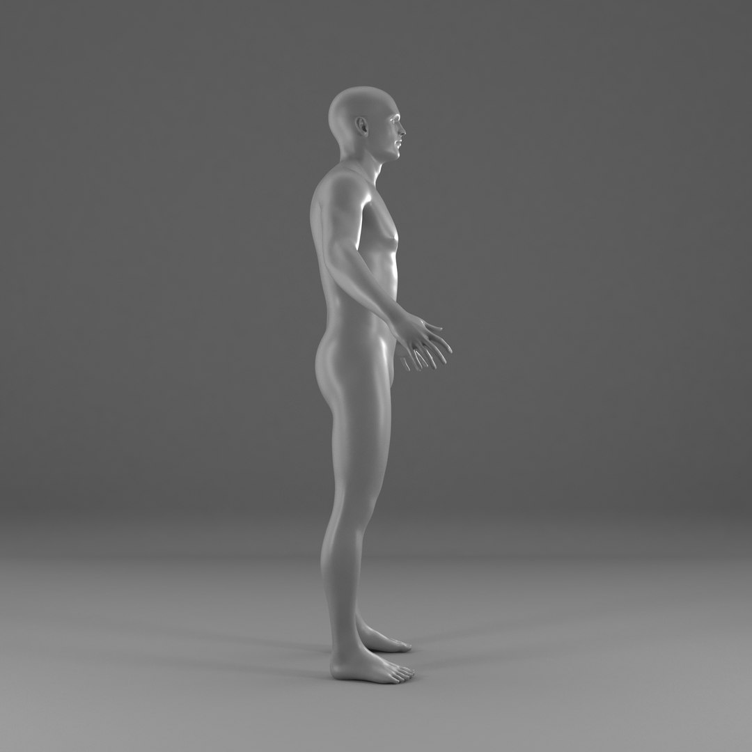 3D Male Base Mesh model https://p.turbosquid.com/ts-thumb/j7/rk3Ts1/eH/ap_0125/jpg/1784457164/1920x1080/fit_q87/fdf2adbbd36efd258426e082c1fdde8e5782a2e1/ap_0125.jpg