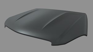 Car Bonnet 06