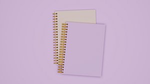3D model Books