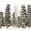 Winter green spruce forest 3D model