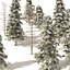 Winter green spruce forest 3D model