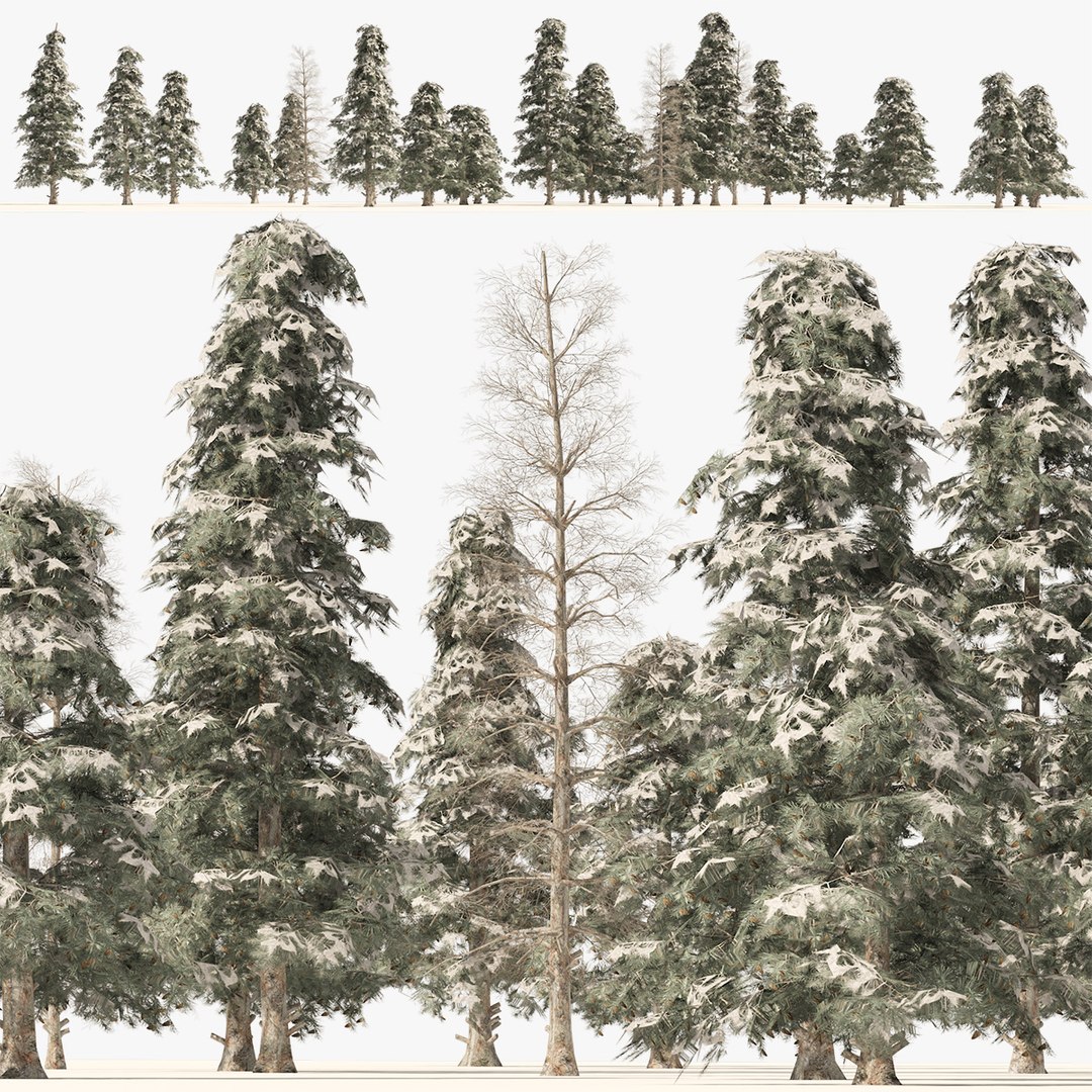 Winter green spruce forest 3D model https://p.turbosquid.com/ts-thumb/j8/JFoAX6/ae/search/jpg/1667164170/1920x1080/fit_q87/121409e6d92600503d90b2460b45fa03a0b5d3ab/search.jpg