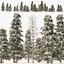 Winter green spruce forest 3D model