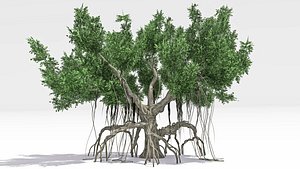 3D Chinese Banyan Tree-S4 model