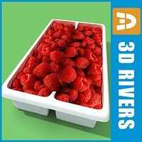 Raspberry box  by 3DRivers