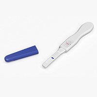 Negative Pregnancy Test