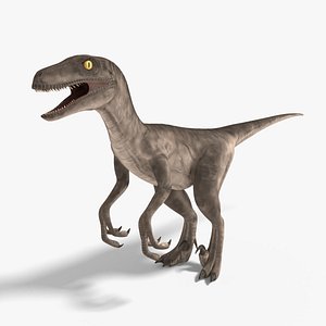 Velociraptor