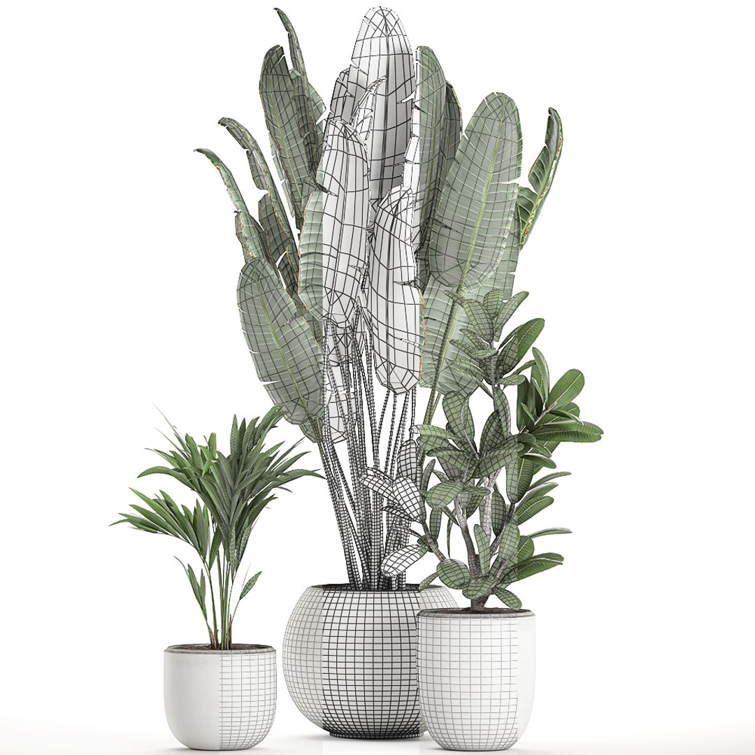 Plants Interior White 3D Model - TurboSquid 1598172