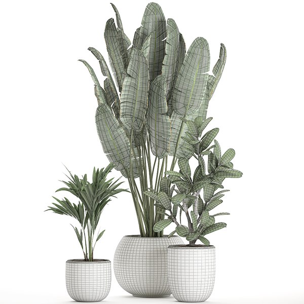 Plants interior white 3D model - TurboSquid 1598172