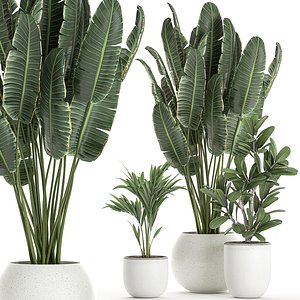 plants interior white 3D model