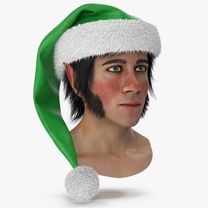 Christmas Elf Head 5