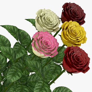 3D model rose middle open