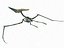 Dino Pteronodon Skeleton