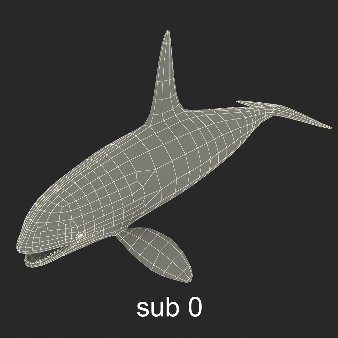 3d killer whale orca https://p.turbosquid.com/ts-thumb/j8/zeqk4y/2XfpUEgU/whale_0026/jpg/1426172934/1920x1080/fit_q87/11a399df6cd4b77b84a7542625b27d0736b6d6ee/whale_0026.jpg