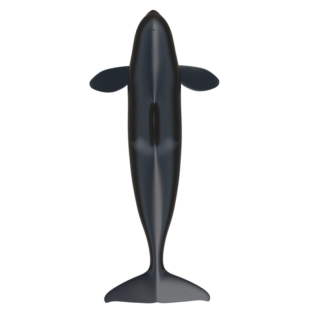 3d killer whale orca https://p.turbosquid.com/ts-thumb/j8/zeqk4y/3VfVdKUf/whale_0016/jpg/1426172934/1920x1080/fit_q87/fd75dbdbd4249eea6a7372da1dca149b4c54af61/whale_0016.jpg