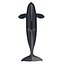 Killer whale