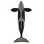 Killer whale