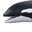 Killer whale