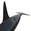 Killer whale