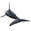 Killer whale